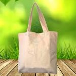 EcoBag Vision - Sacola Brinde